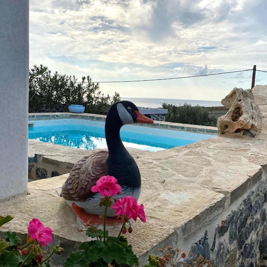 Stelani Villas & Suites Kalamaki  Dış mekan fotoğraf